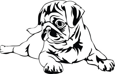 Cartoon Black and White Isolated Illustration Vector Of A Pet Pug Puppy Dog Laying Down