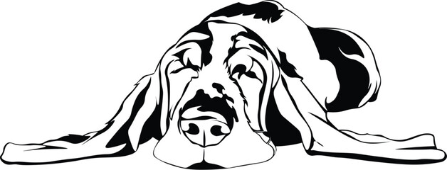 Cartoon Black and White Isolated Illustration Vector Of A Pet Bloodhound Puppy Dog Sleeping - obrazy, fototapety, plakaty