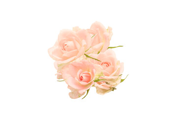 白背景のピンクの薔薇の花束
