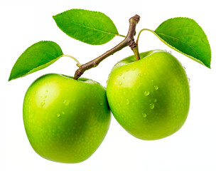 Two green apples on branch isolated on white background