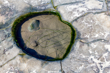 small tidepool in a rock on the beach with rocks that look like eyes