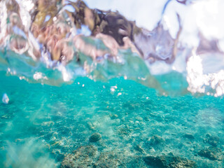 美しい荒井浜の海と岩礁の半水面撮影。

日本国神奈川県三浦市、荒井浜海水浴場にて。
2023年12月2日水中撮影。

A half-water shot of the beautiful Araihama beach ocean and reefs.

Araihama Beach, Miura, Kanagawa, Japan,
Photo Taken December 2, 2023.
In 