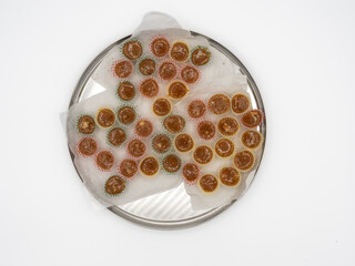 Swedish butterscotch, or toffee, or knäck in Swedish, on a round plate isolated on a white background.