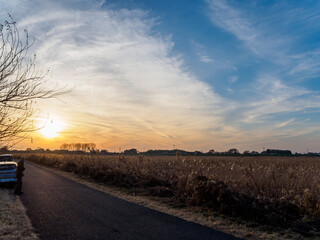 夕暮れの美しく広大な葦原。

日本国栃木県栃木市、渡良瀬遊水地にて。
ラムサール条約登録。
2023年12月9日撮影。


Beautiful and vast reed fields in the evening.

At WATARASE Retarding Basin, Tochigi, Japan,
It is registered under the Ramsar Convention.