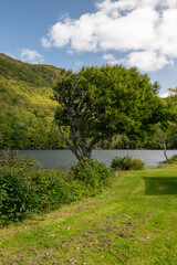 An empty campsite next to a river with a lush yellow and green colored hillside of trees. The sky is blue with white clouds. There's a grass-covered park campground with no people next to the water. 