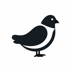 Pigeon in cartoon, doodle style. Isolated 2d vector illustration in logo, icon, sketch style, Eps 10, black and white. AI Generative