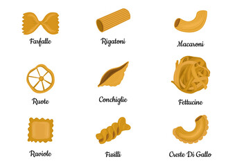 Big set with the different types of Italian pasta vector illustration isolated on white background. Spaghetti, Farfalle, penne, rigatoni, ravioli, fusilli,conchiglie, elbows, fettucine illustration.