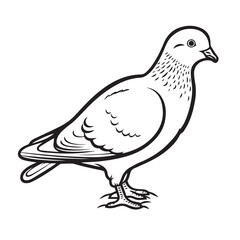 Fototapeta na wymiar Pigeon in cartoon, doodle style. Isolated 2d vector illustration in logo, icon, sketch style, Eps 10, black and white. AI Generative