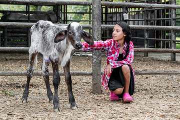 little latin peasant girl bent over on the ground touching the little gyr calf