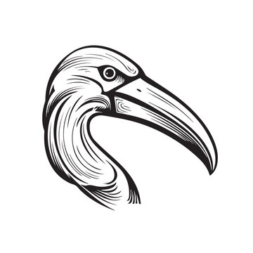 recommend clip art: Albatross in cartoon, doodle style. Isolated 2d vector illustration in logo, icon, sketch style, Eps 10, black and white. AI Generative