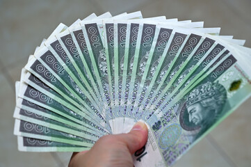 Polish zloty money in hand close-up