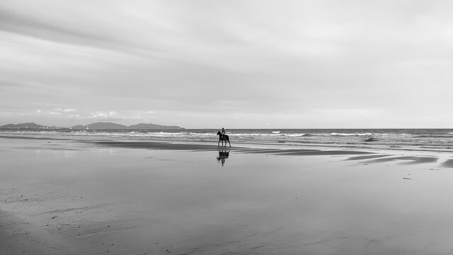 One people far riding on horses on the beach near the sea with a beautiful moody sky in black and white at Pantai Sepat, Kuantan Pahang, Malaysia.
