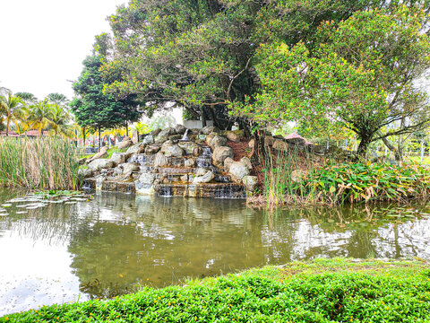 Forest lake in parks. Fresh water of forest lake.