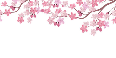 桜　花　春　風景　背景	