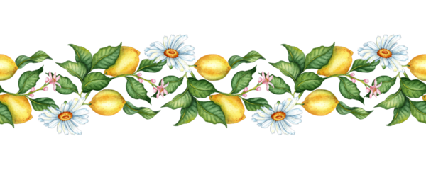 Seamless pattern Lemons are yellow, juicy, ripe, with green leaves, flower buds on the branches and daisies. Watercolor botanical illustration isolated. Delicious food for design, print, fabric, 