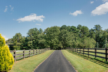 Fototapeta na wymiar Serene Country Road Flanked by Wooden Fences and Lush Greenery under a Clear Blue Sky, Inviting Scenic Drive into Rural Landscape