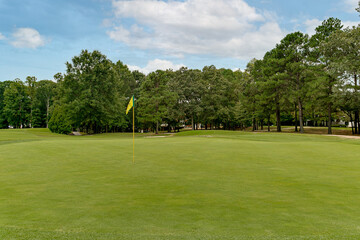 Scenic Golf Course View with Lush Green Fairway and Yellow Flag on a Sunny Day Surrounded by Tranquil Pine Trees