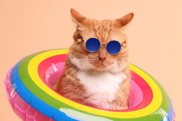 Cute ginger cat in stylish sunglasses with swim ring on beige background