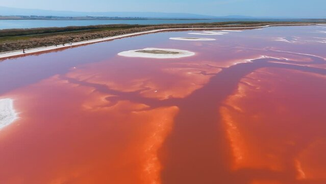 Pink salt ponds at Alviso Marina County Park, gateway to the Don Edwards San Francisco Bay National Wildlife Refuge. Aerial view of the pink lake.