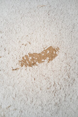 footprint in light snow