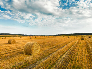 Straw bales on harvested stubble field illuminated by sun