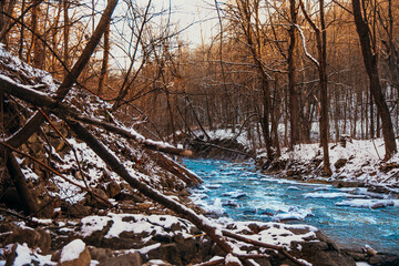 River in Winter Forest