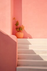 minimal pink stairs with sunlight going up, concept images