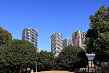 Fototapeta premium 晴れた青空と緑の木々越しに見える都会の高層マンション群