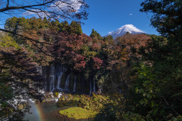 See Mount Fuji thru Shiraito Falls with rainbow in autumn, Shizuoka, Japan - 697111636
