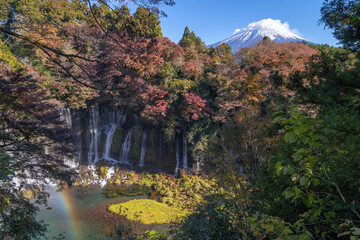 See Mount Fuji thru Shiraito Falls with rainbow in autumn, Shizuoka, Japan - 697111651