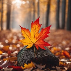 The macro beauty of fallen Marple leaf as a symbol of strength, endurance and protection. Canada is Land of Maple Leaf. Happy Canada day. Autumn concept for background, wallpaper and banner