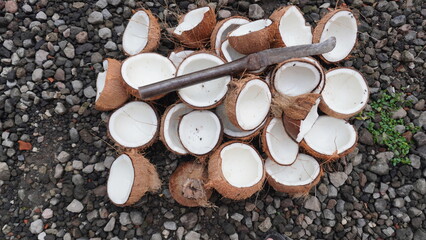 pile of coconuts on the gravel, coconut skin background