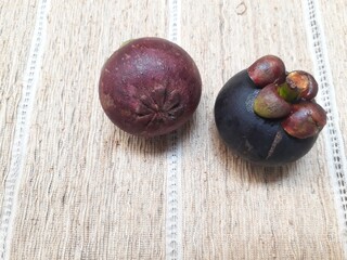 Fresh mangosteen fruit isolated on twig background, copy space