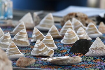 Conical shells in colours of brown and white are on a colourful cloth. They are highly polished. The focus is on the foreground. There are also a few stones and unpolished shells.