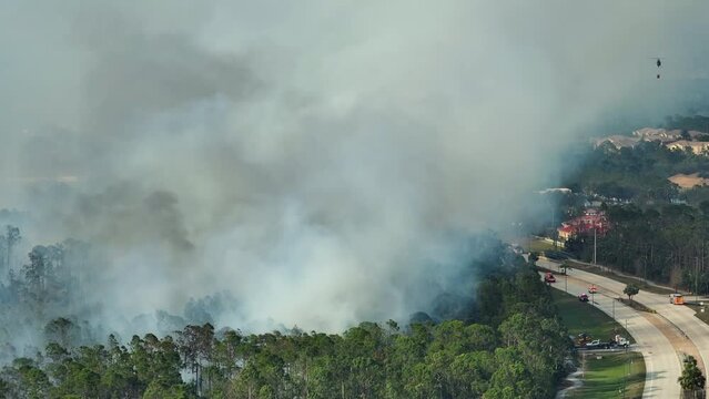 Aerial view of fire department helicopter and firetrucks extinguishing wildfire burning severely in Florida jungle woods. Emergency service chopper and firemen trying to put down flames in forest