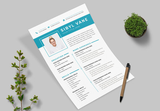 Clean and Professional Resume with Blue Accents