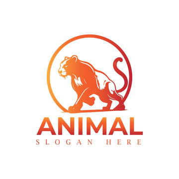 Animal logo design vector template