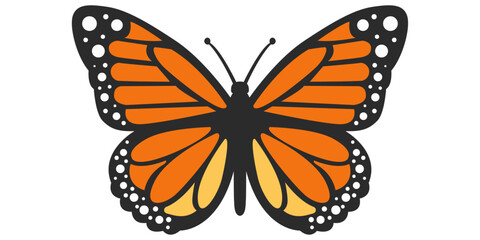Vector stylish monarch butterfly. Vector orange colored butterfly. Symmetrical and beautiful winged butterfly.