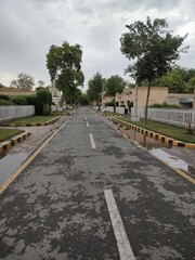 Autumn's Melody: Rain-Kissed Journey Through Nature's Tapestry