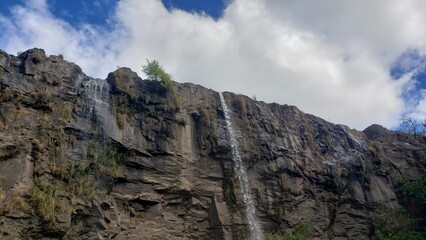 Naklejka premium Estanzuela, Marcala