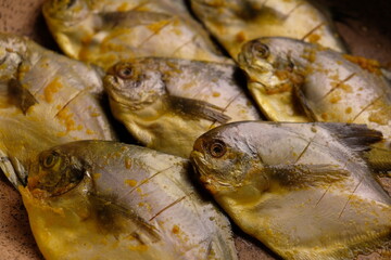 White pomfret or silver pomfret is a species of butterfish that lives in the western Indo-Pacific. Pampus argenteus. bawal putih.