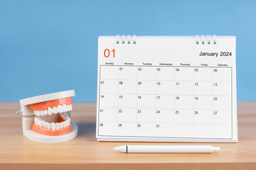 January monthly desk calendar for 2024 year and model dentures on the table.