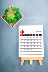 2024 January calendar page and plant pot on wooden background.