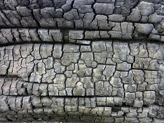 Burnt black wooden wall of house after fire - due to direct hit by shell or mine on wooden house. War in Ukraine