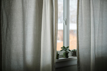 Indoor window with curtain and plant