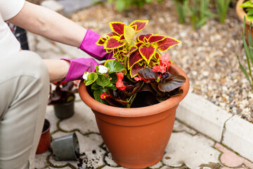 One person with gloves doing gardening