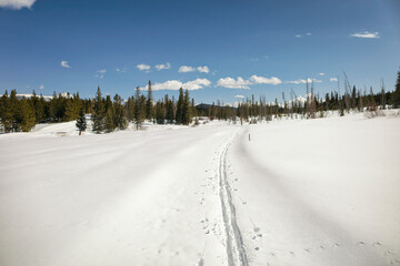 Winter landscape with ski tracks, Colorado