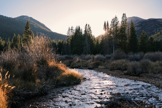 Landscape in the Eagles Nest Wilderness, Colorado