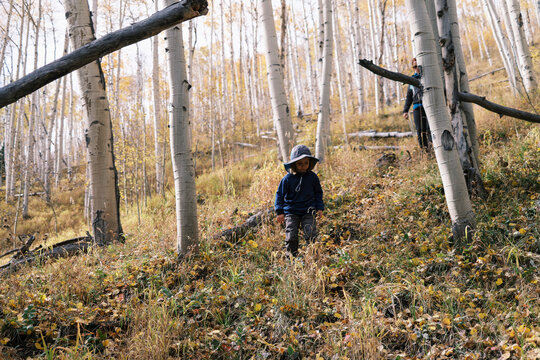 Child hiking down a slope in an Aspen forest, Colorado