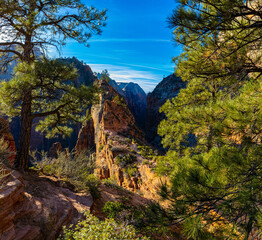 Angels Landing From Scout Lookout, West Rim Trail, Zion National Park, Utah, USA